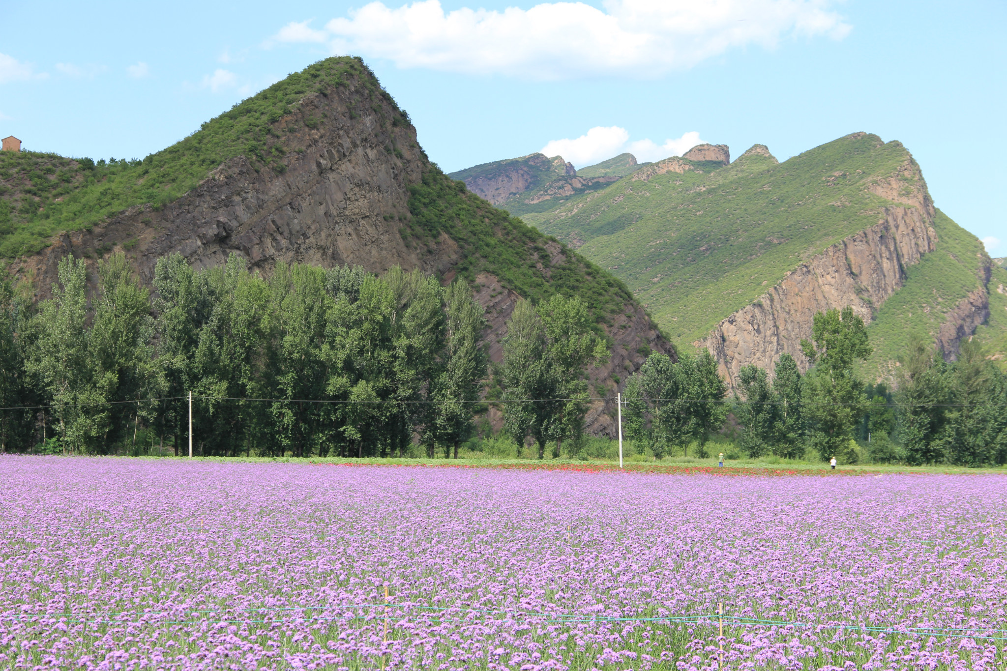 ç¾éå±±æ°´ç»å»åå®¶åºè±æµ·   è±æµ·ä¸­è±æµ   è±æµ·ä¸­è±æµ   è±æµ·ä¸­è±æµ   ç¾éå±±æ°´ç»å»åå®¶åºè±æµ·   ç¾éå±±æ°´ç»å»åå®¶åºè±æµ·   ç½æ²³å ¡æ°´åºæ¯è²   ç«å¨ ç½æ²³å ¡æ°´åºå¤§åä¸è¿æç¾¤å±±   ç½æ²³æµåæ¯è²   ç¾éå±±æ°´ç»å»ä¸­å¿åºæ¯è²   ç¾éå±±æ°´ç»å»ä¸­å¿æ¯åº 