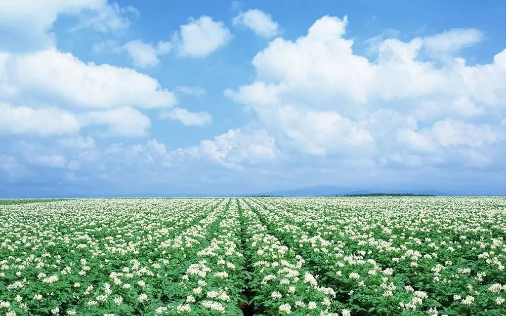 æ¥æ¬åæµ·éç°å­é£æ¯