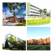 2024年云南经贸外事职业学院助产专业招生计划