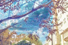 四川省乐至县回澜职业中学二零二零2024年招生简章